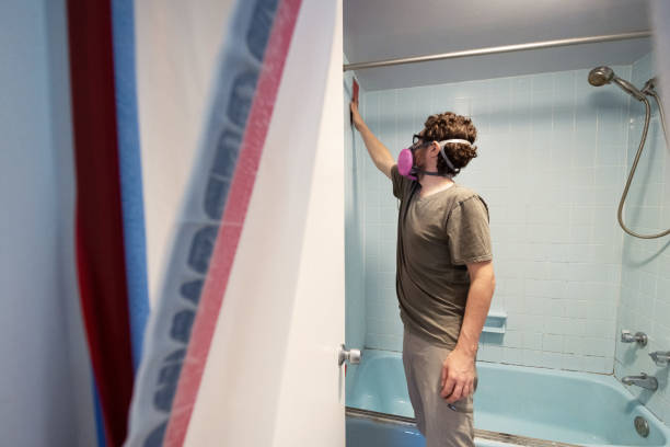 Best Industrial Mold Remediation  in Lake Meade, PA