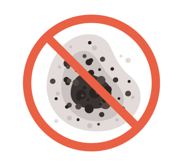 Best Mold Odor Removal Services  in Lake Meade, PA