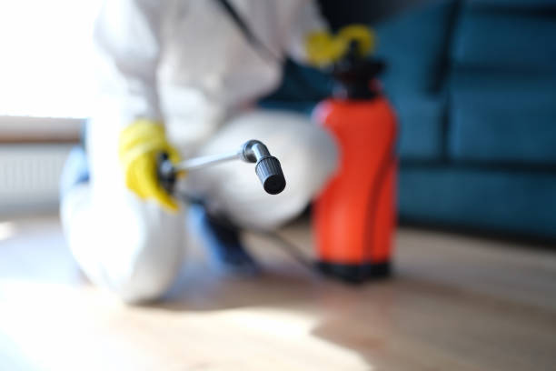 Best Commercial Mold Inspection  in Lake Meade, PA