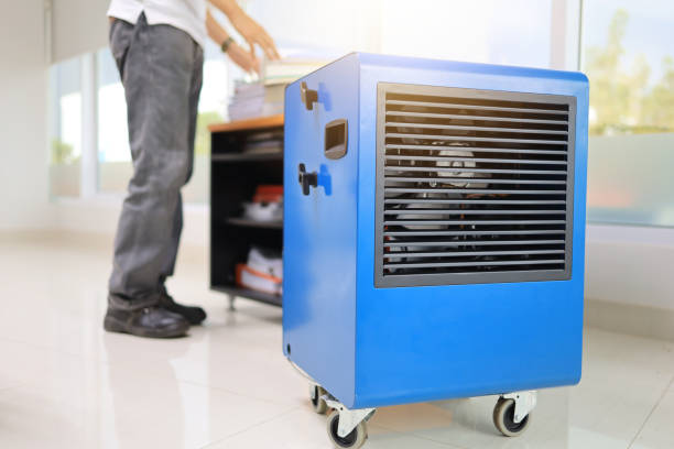 Best Environmental Consulting for Mold Prevention  in Lake Meade, PA