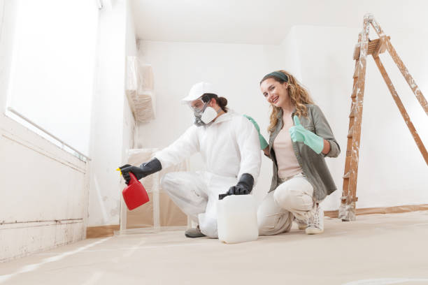 Best Mold Damage Restoration  in Lake Meade, PA